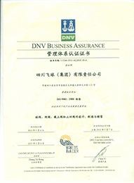 ISO9001：2008管理體系認(rèn)證證書【四川飛球（集團(tuán)）有限責(zé)任公司】1